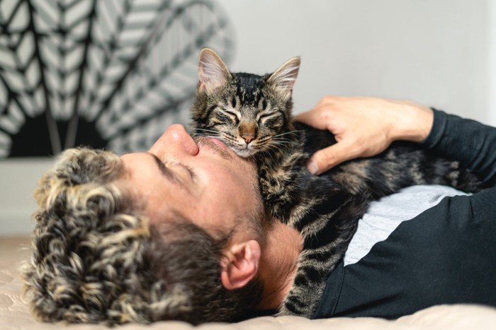 飼い主さんの上で眠る猫