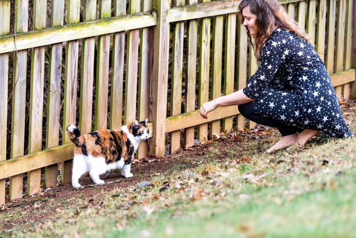 野良猫と女性