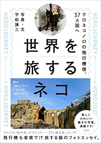 世界を旅するネコ クロネコノロの飛行機便、37ヵ国へ