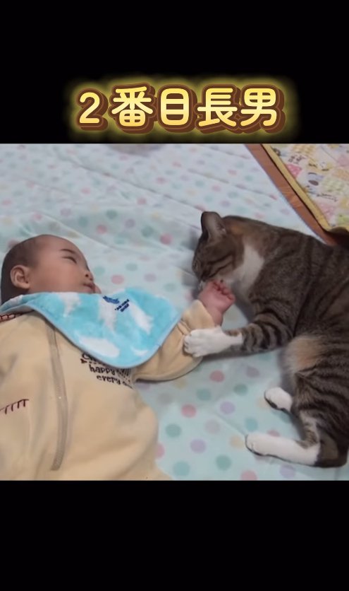 寝転がる赤ちゃんの手を舐める猫