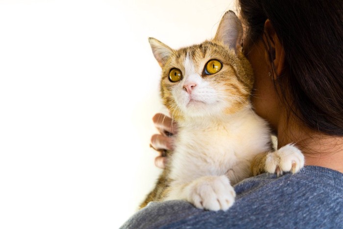 女性の肩に乗る猫