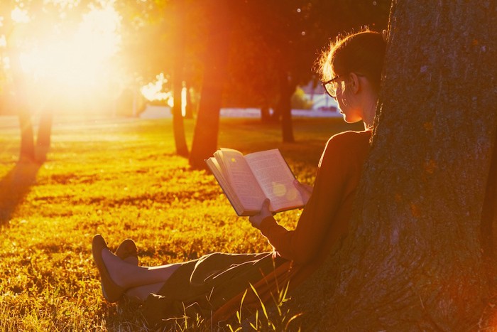 夕日の中で本を読む女性