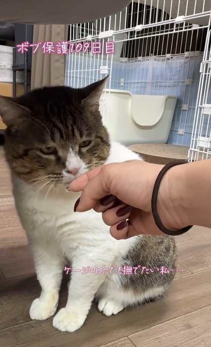挨拶