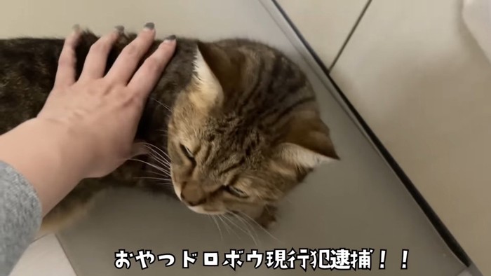 現行犯逮捕！！