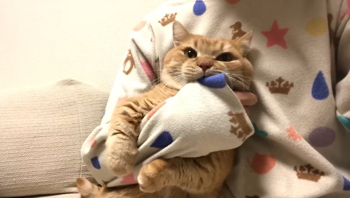 腕にギュッ