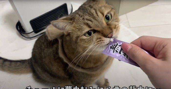 おやつを食べるみにらくん