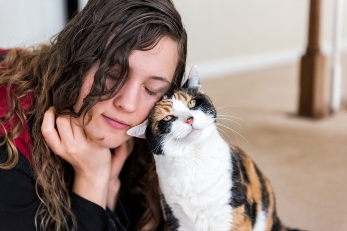 女性の顔に頭をこすりつける猫