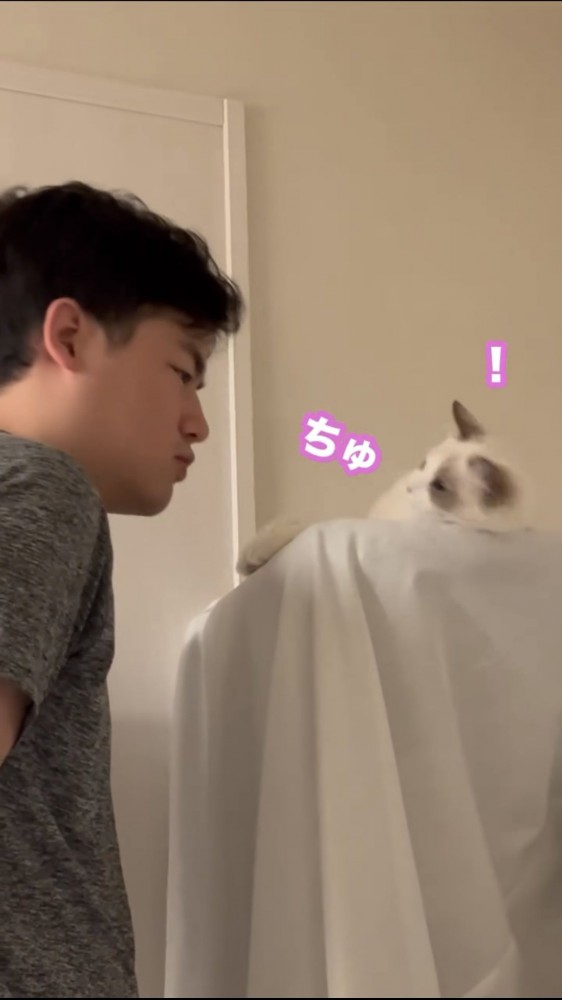 男性と猫