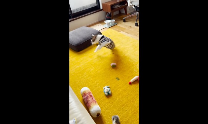 左に飛んで