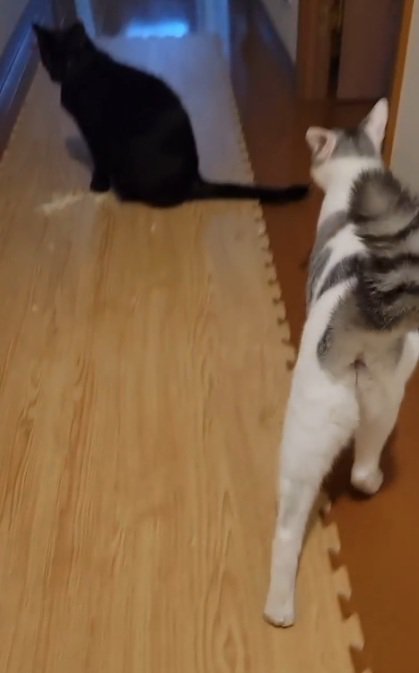チェック完了