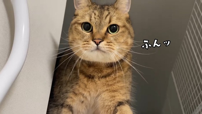 正面を向いてふんッ