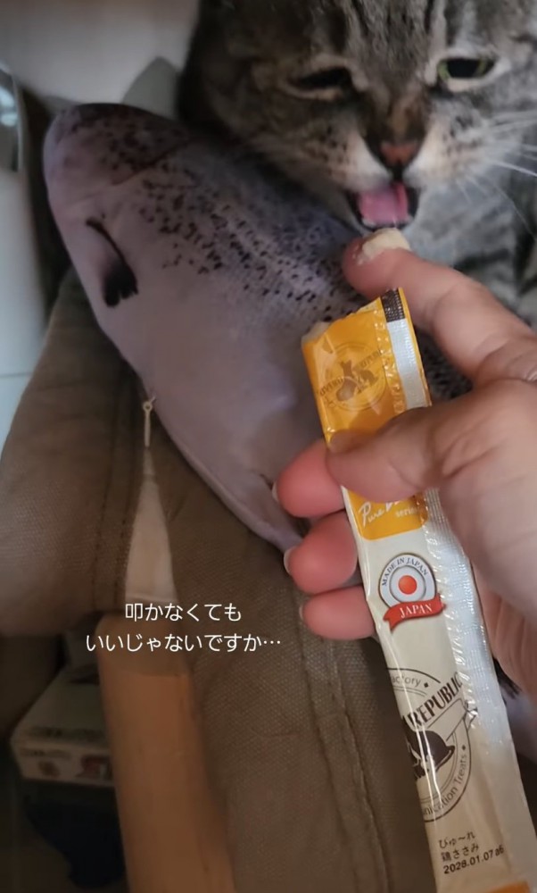 威嚇する猫