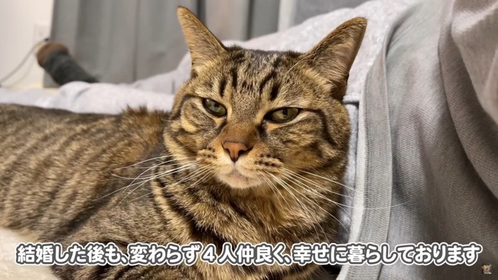 その後も飼い主さん一家と過ごすさもじさん