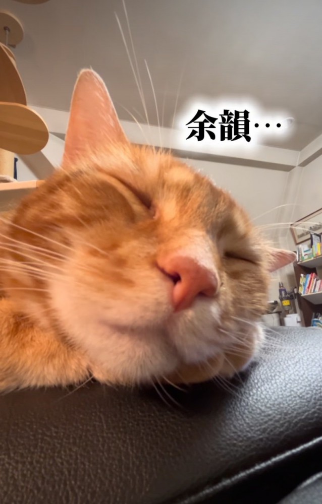 口が動く