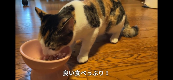 食べる