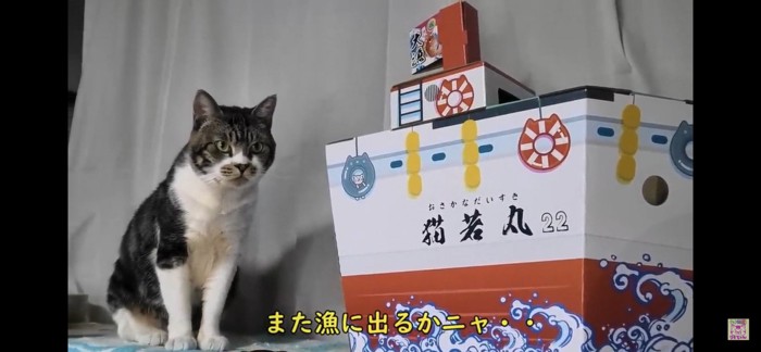 お座りする猫