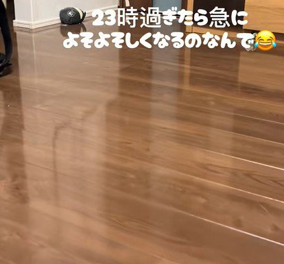 消えた猫