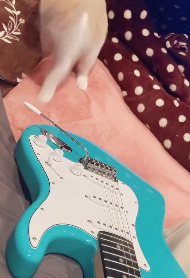 ジャンプするらるちゃん