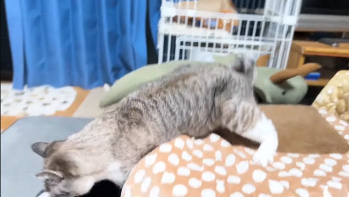 投げ飛ばして