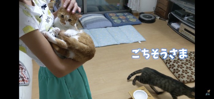 頭を撫でられる猫と立ち去る猫