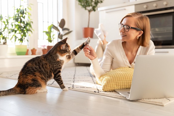 リモートワークをしながら猫と遊ぶ女性