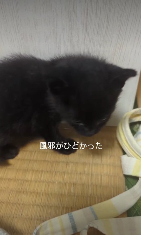 預かり当初