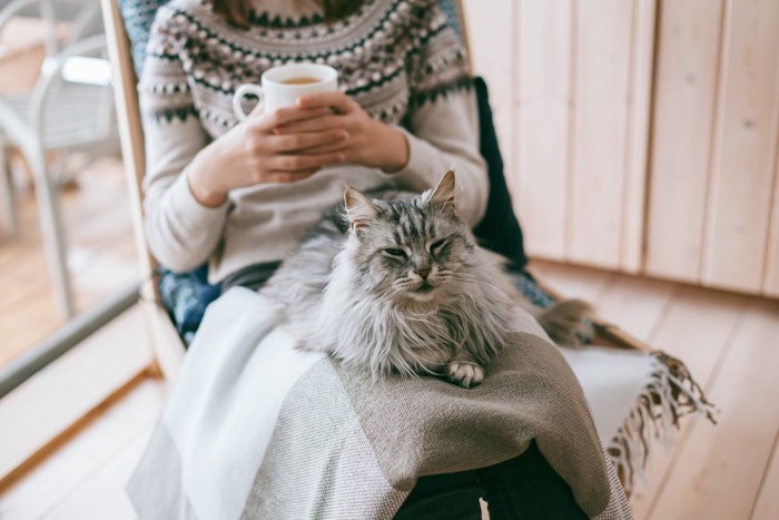 女性のブランケット膝でくつろぐ猫