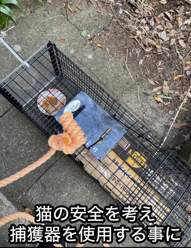 猫の捕獲器