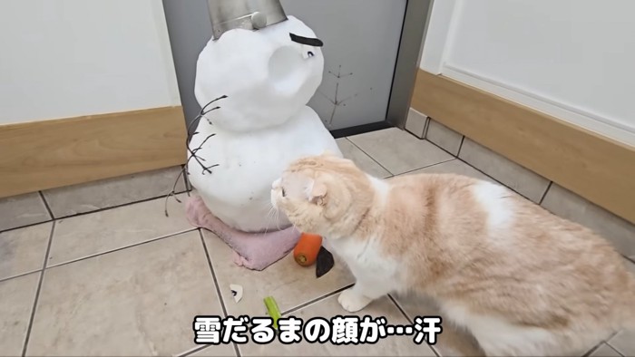 顔のパーツがとれた雪だるま