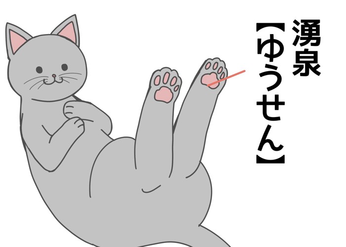 猫の湧泉（ゆうせん）の位置