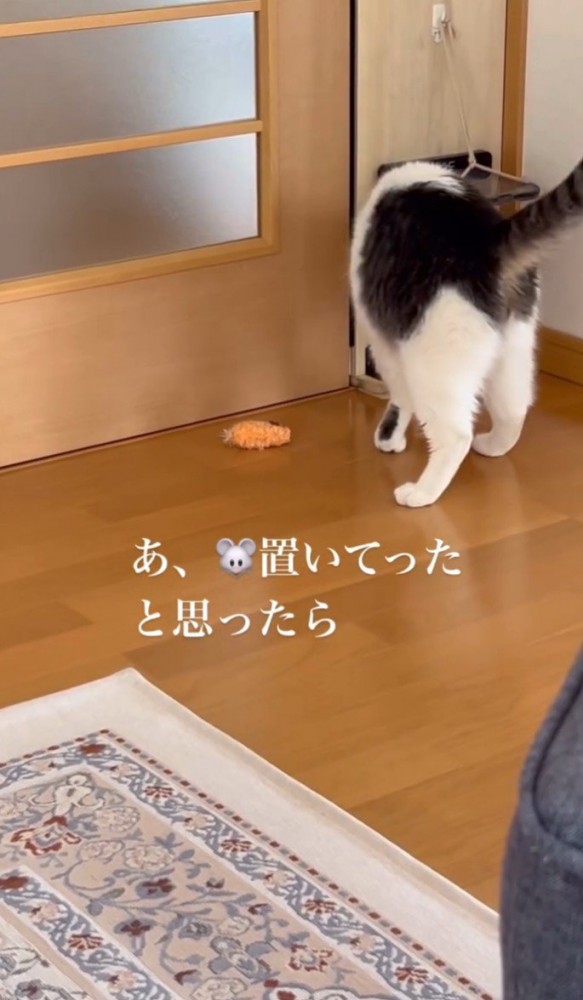 背を向け猫用ドアに歩いていく猫