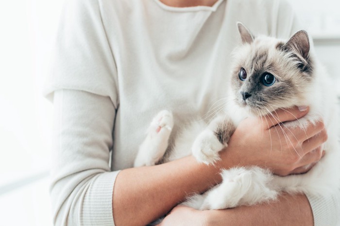 猫を抱く女性