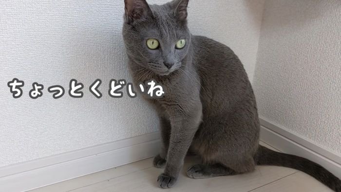 きまぐれハムちゃん