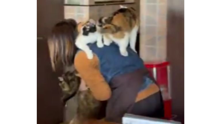 女性と猫