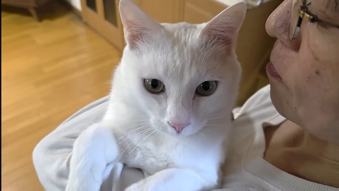 抱っこ