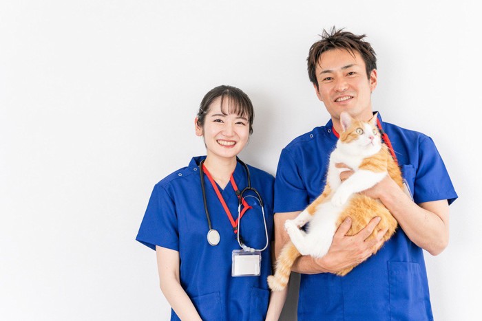 猫を抱く獣医師たち