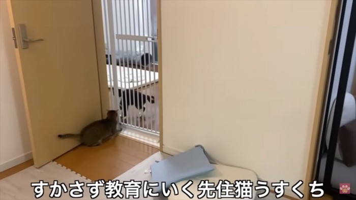 怒られる