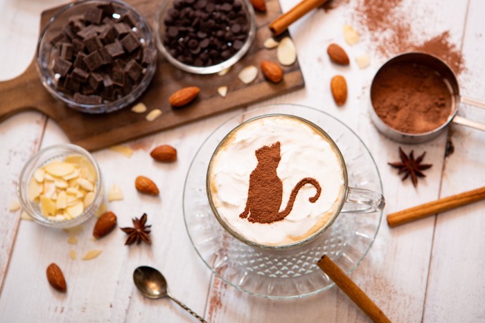 猫の模様が描かれたホットチョコレートと材料