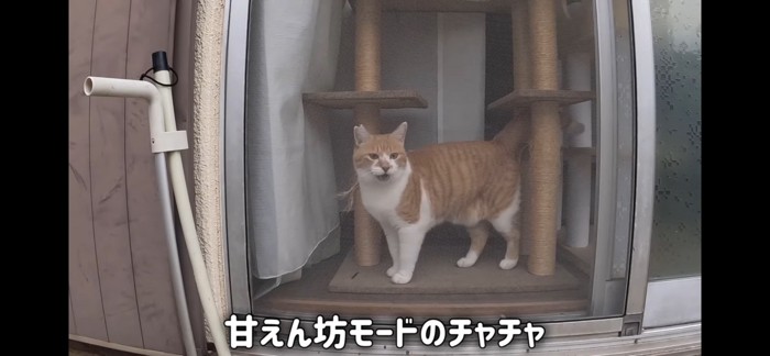 甘える