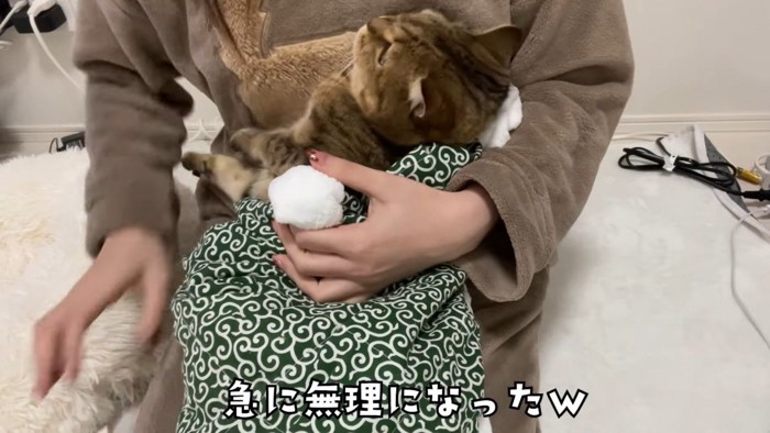 腕の中から抜け出そうとする猫