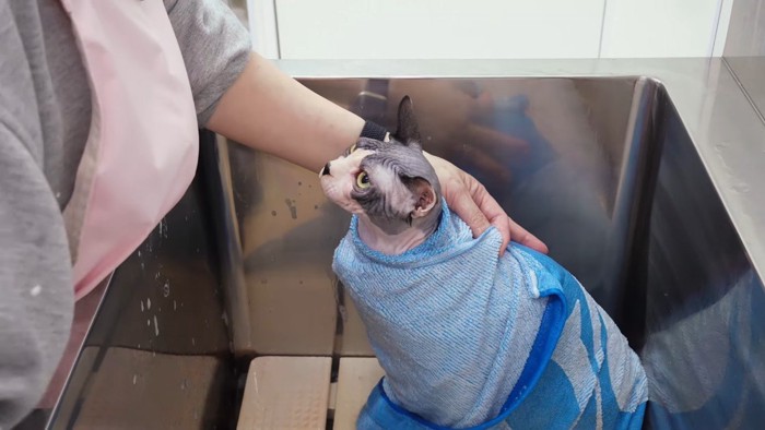 タオルで包まれて