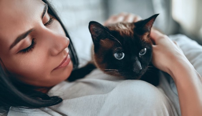 女性に抱っこされている猫