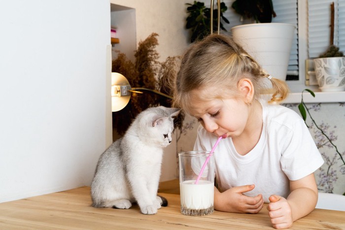 少女の横に座る猫