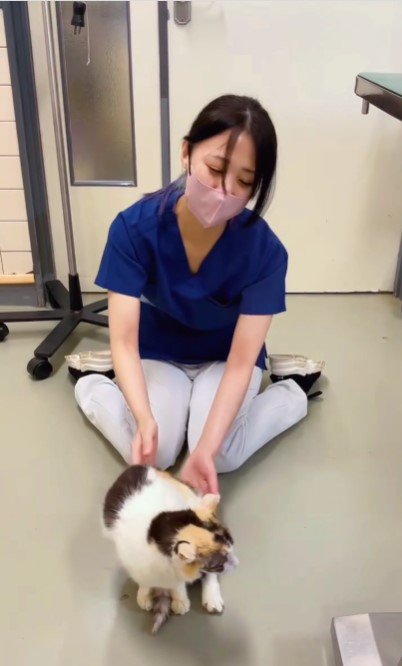 床に置かれる猫