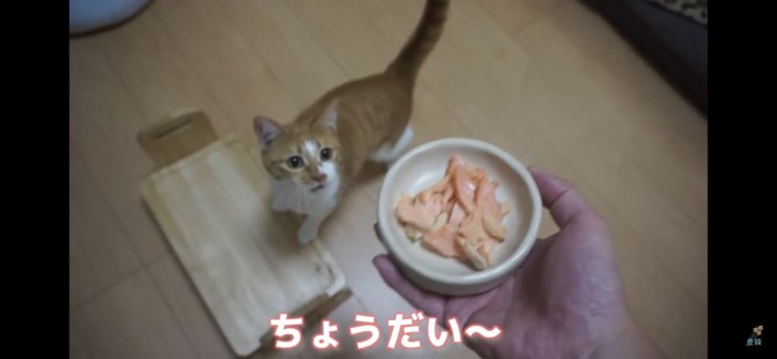 サーモン