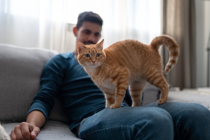 男性のもとに来た猫