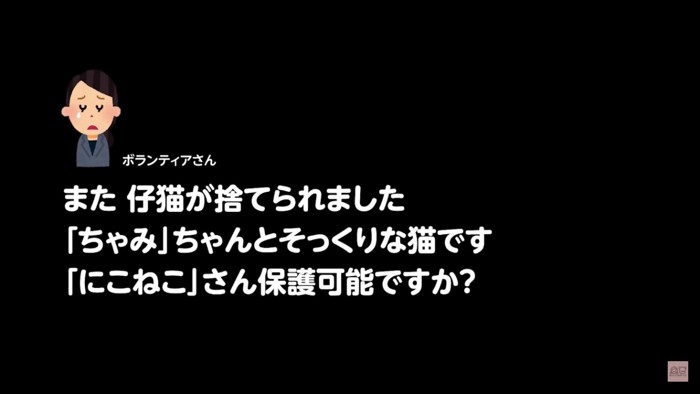 保護の相談