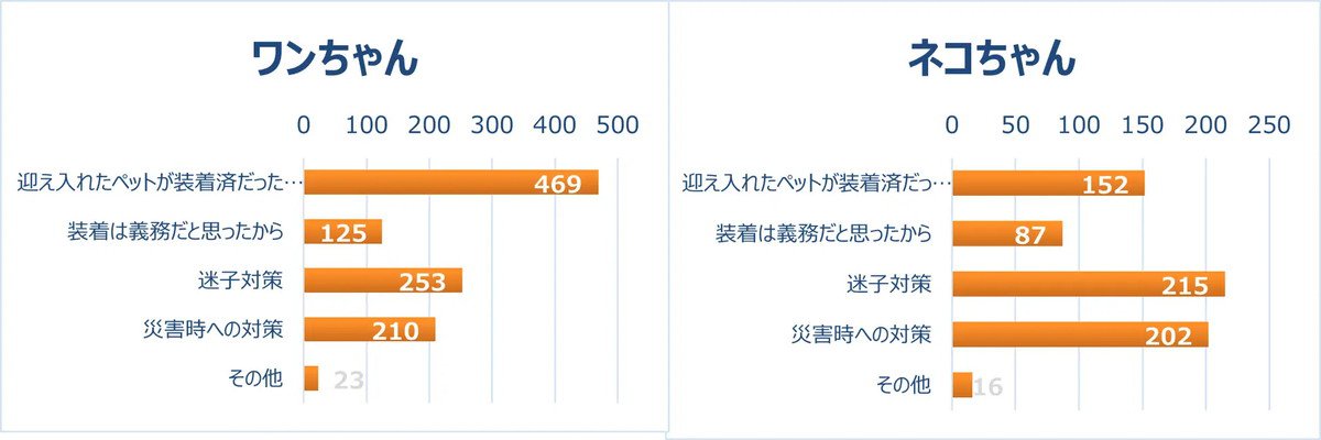 猫調査2・プレスリリース