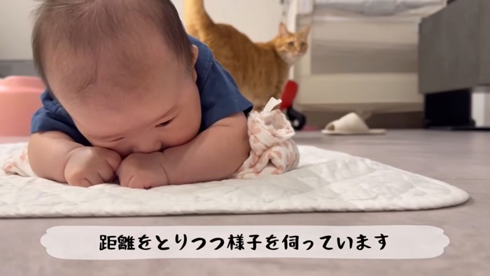 テロップ「距離をとりつつ~」
