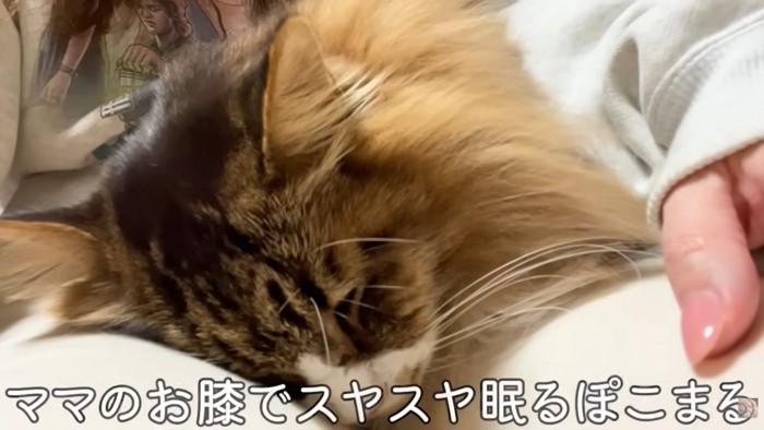 テロップ「ママのお膝で～」